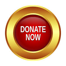 2021 Samanthas House Donate Now button